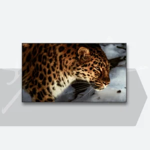 junescreens・月隱白固定框幕